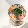 Creative Art Vintage Resin Decorative Door Handles