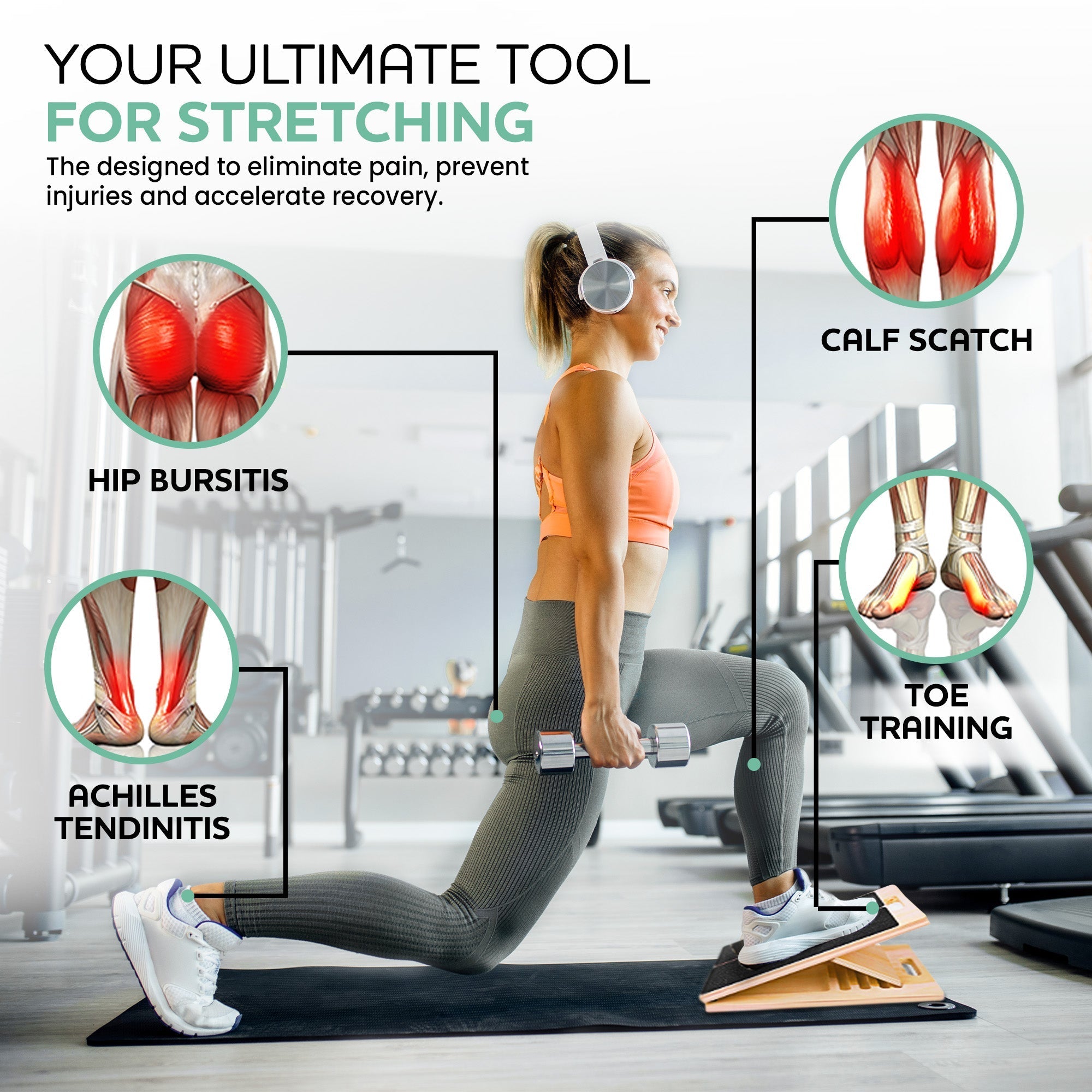 Ultimate Incline Board