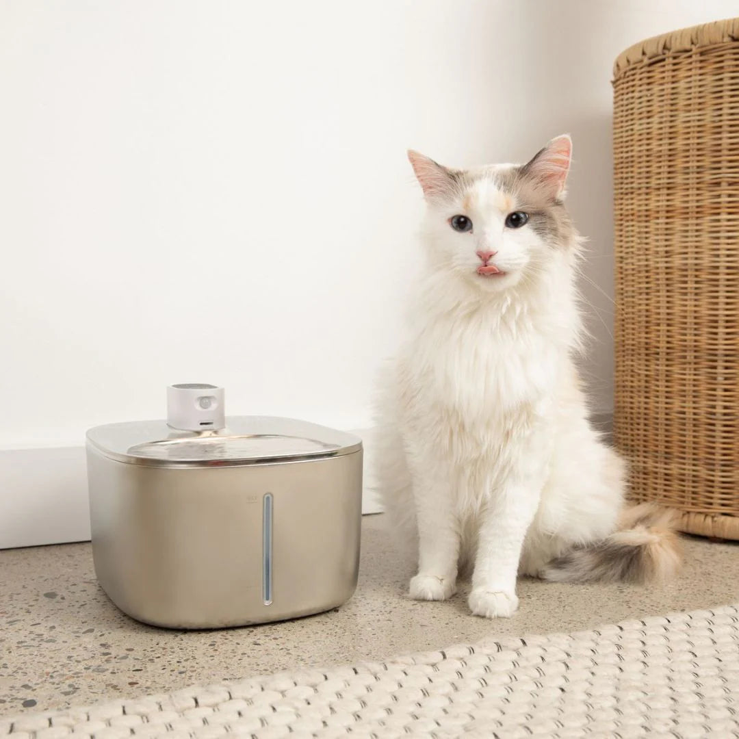 WhiskerWell Wireless Smart Drinking Fountain - Whisper Quiet, 6-Layer Filtration, 30 Day Battery
