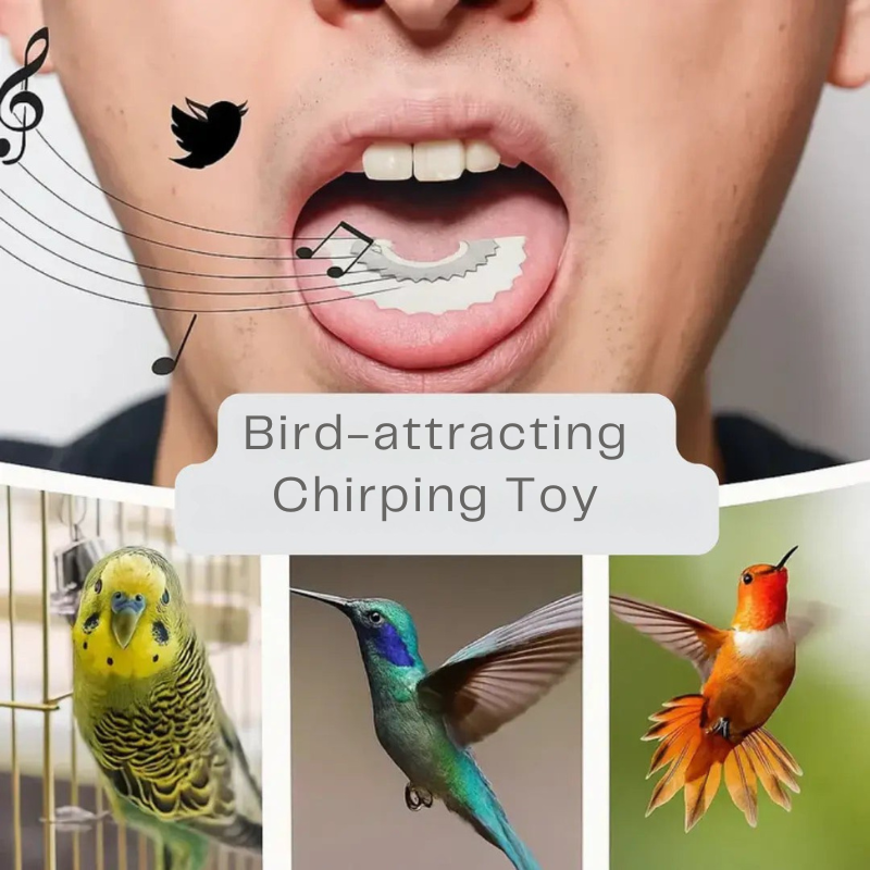 Bird Call Mouthpiece – Attracts Real Songbirds