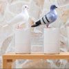 Automatic pigeon soap dispenser - Non-contact for maximum hygiene