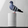 Automatic pigeon soap dispenser - Non-contact for maximum hygiene
