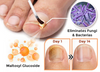 NailVita - 7 Days Nail Growth & Strengthening Serum
