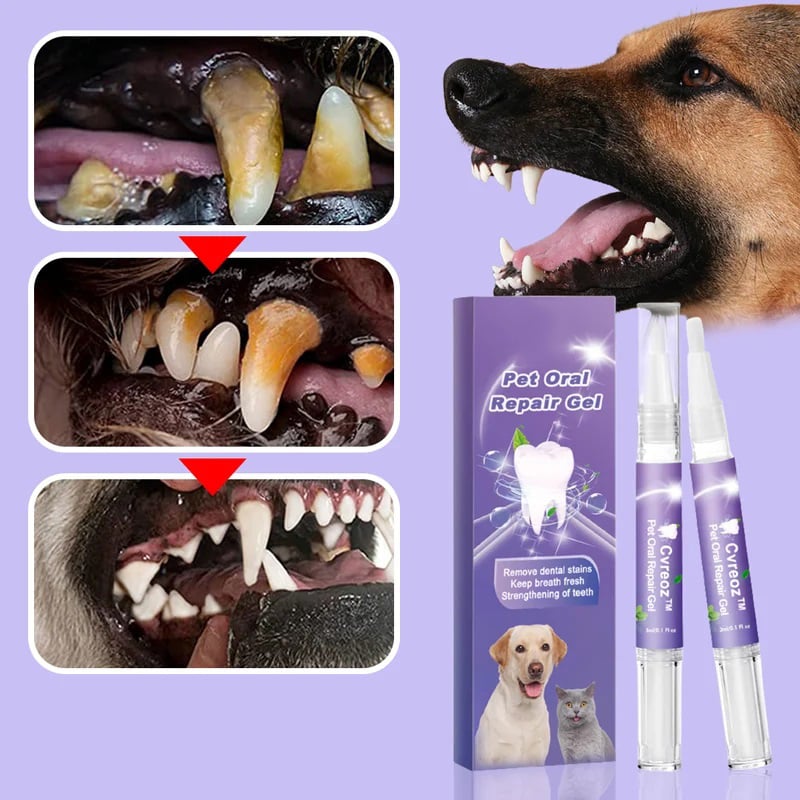 VitaSmile™ — Transform Your Pet’s Smile with Pain-Free Freshness