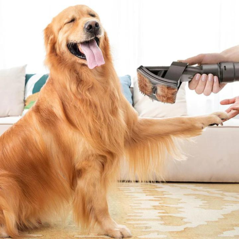 DogCatFri™ VacuumBrush - Pet Care Vacuum Brush Tools