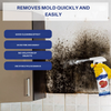 MoldZero™ - Mold removal spray