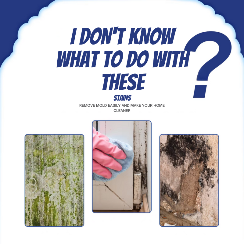 MoldZero™ - Mold removal spray
