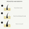 1+1 FREE | Natural Hair Oil™ - For thicker, healthier hair