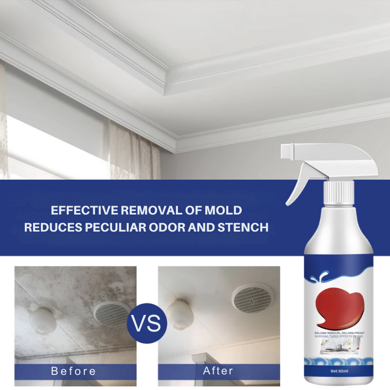 MoldZero™ - Mold removal spray