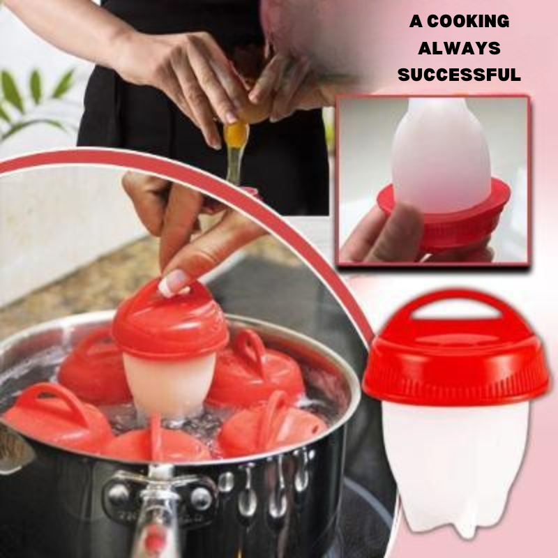 EGG COOKER - STEAMEGG