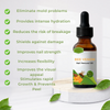 NectarNail Bee Poison Nail Repair Oil | Eliminates Fungus, Restores and Strengthens Nails