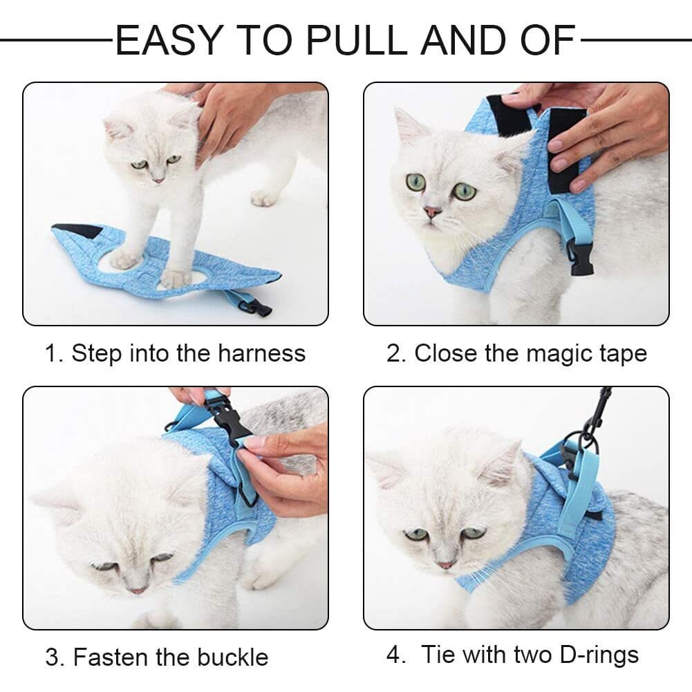 Vermoila™ | Safety and comfort for your cat