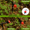100 pieces Adjustable irrigation drippers (free hole opener)