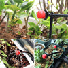 100 pieces Adjustable irrigation drippers (free hole opener)