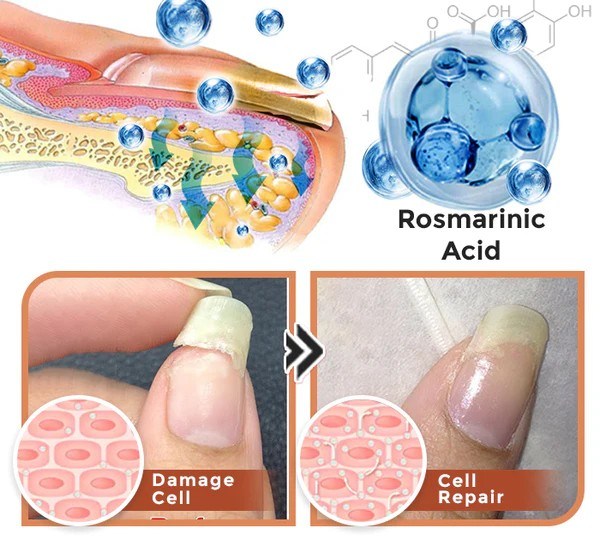 NailVita - 7 Days Nail Growth & Strengthening Serum
