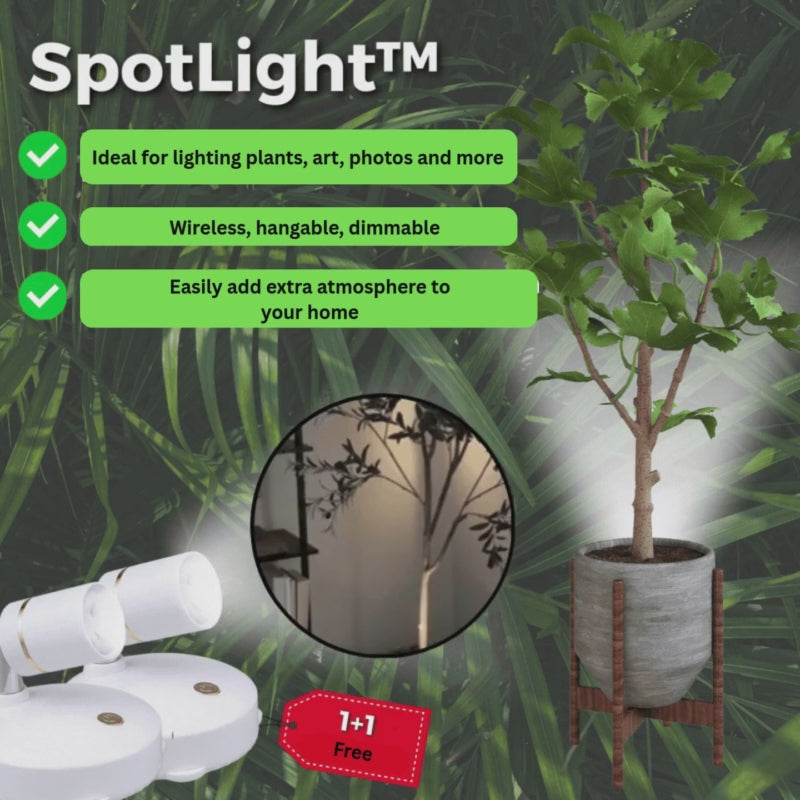 1+1 FREE | SpotLight - Wireless LED spotlight [Last day discount]